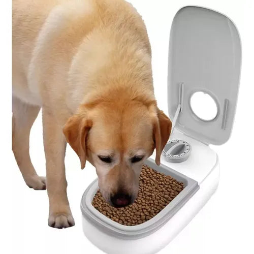 Comedero Temporalizado 2 Puestos