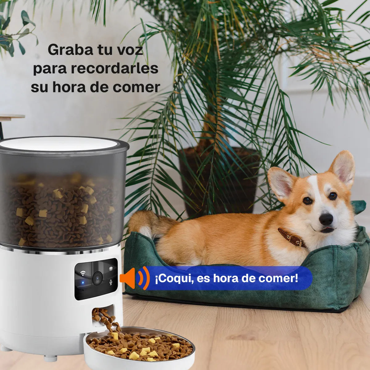 Comedero Inteligente