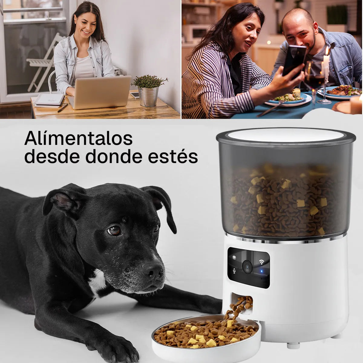 Comedero Inteligente