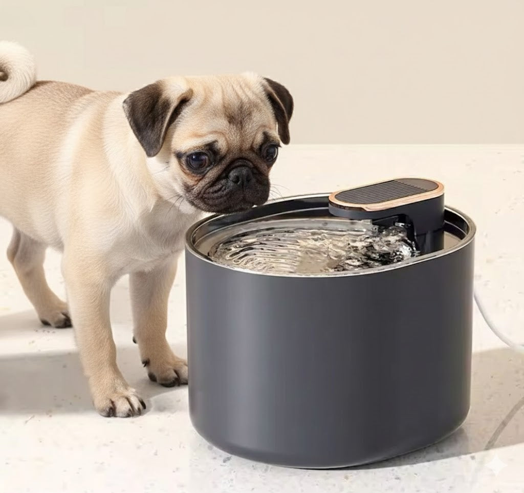 Fuente de agua Bebedero para Mascotas